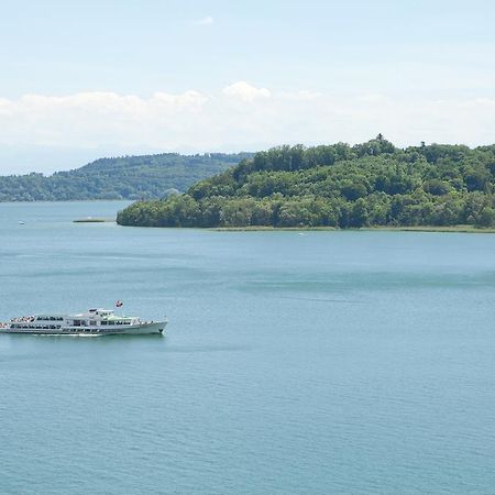 Alpes Et Lac La Neuveville Kültér fotó