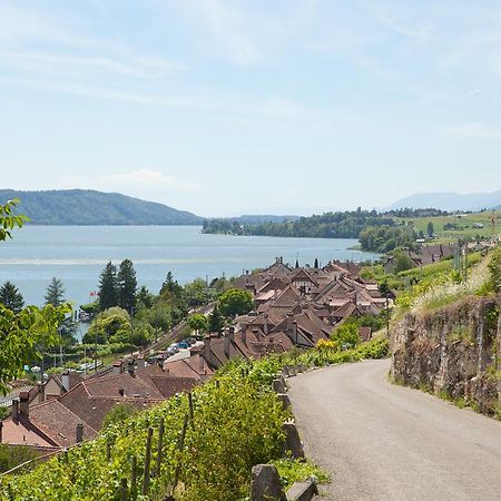 Alpes Et Lac La Neuveville Kültér fotó