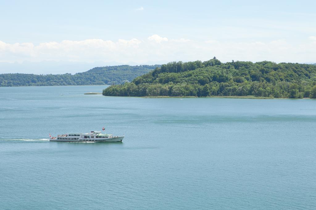 Alpes Et Lac La Neuveville Kültér fotó