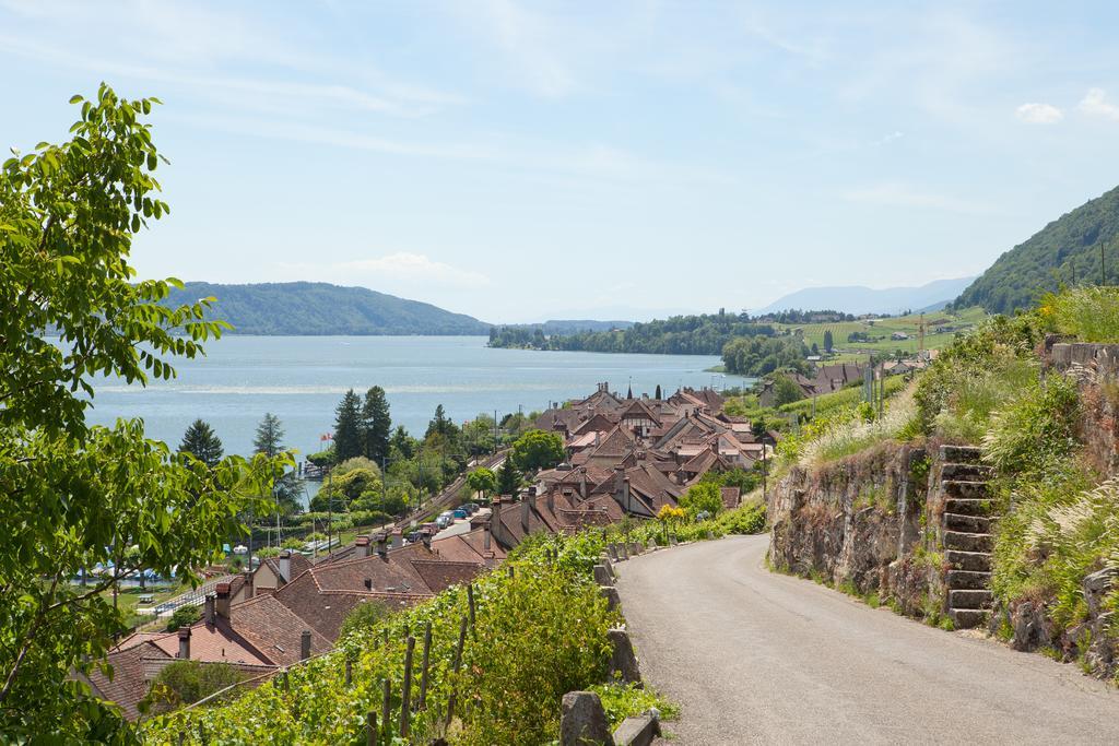 Alpes Et Lac La Neuveville Kültér fotó