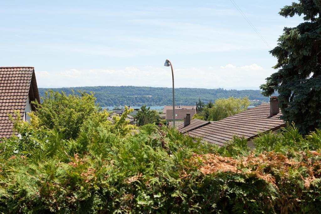 Alpes Et Lac La Neuveville Kültér fotó
